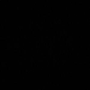 Meet your Posher, Tj